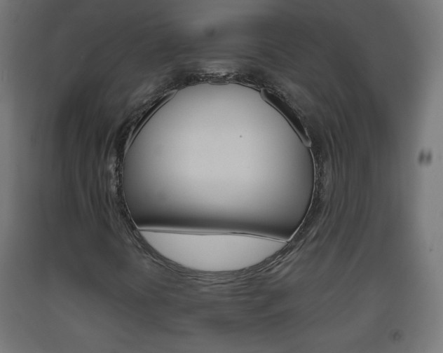 X0000093561394200710150947
