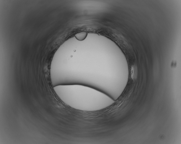 X0000093561395200710150947