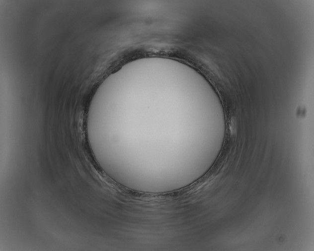 X0000093561396200710150947