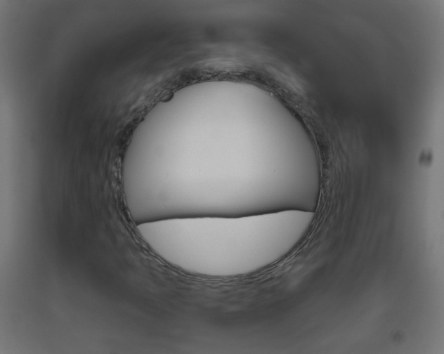 X0000093561397200710150947