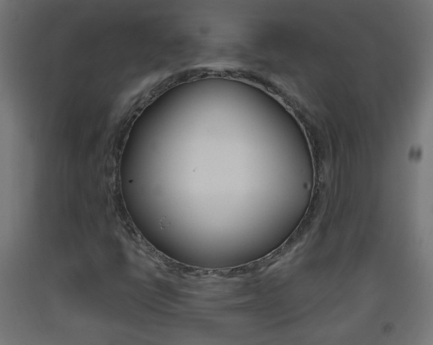 X0000093561398200710150947