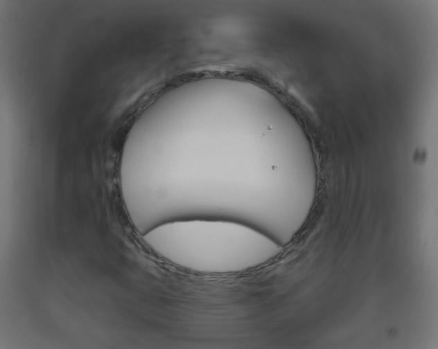 X0000093561399200710150947
