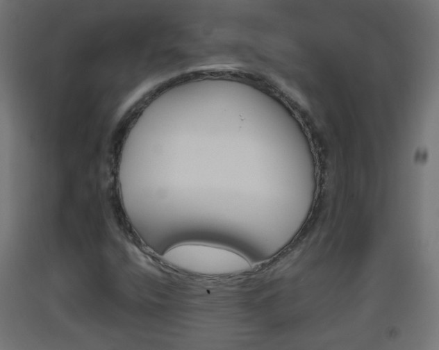 X0000093561400200710150947