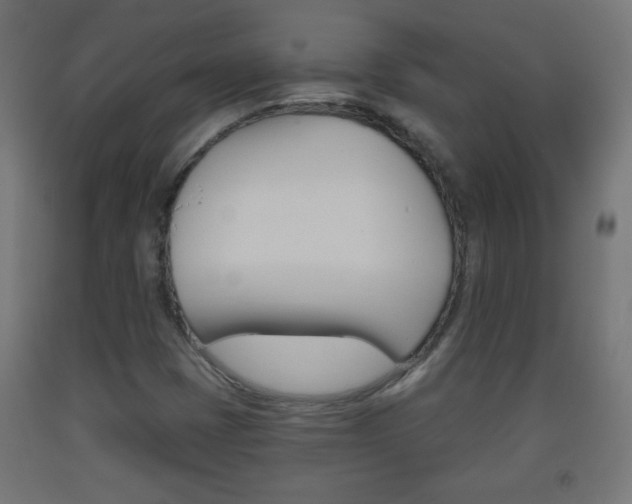 X0000093561401200710150947