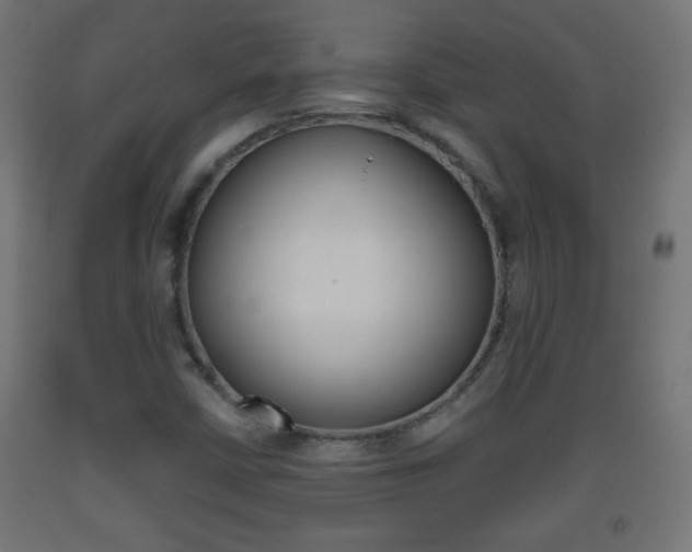 X0000093561402200710150947