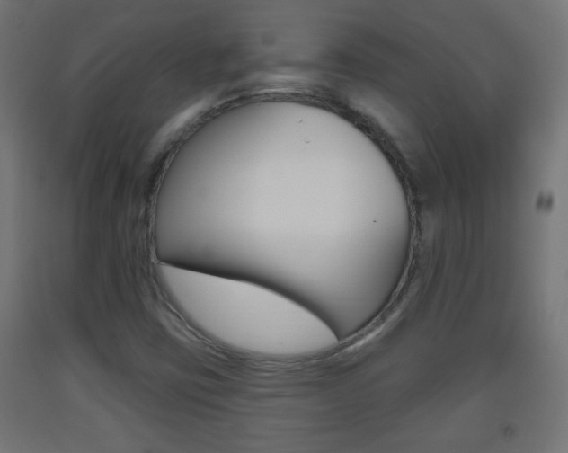 X0000093561403200710150947