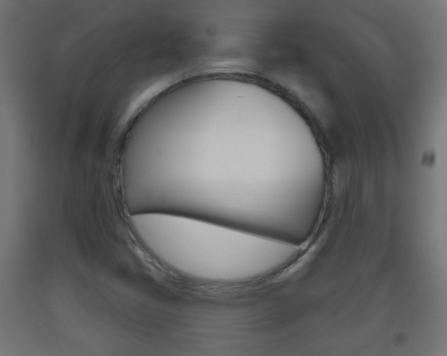 X0000093561405200710150947