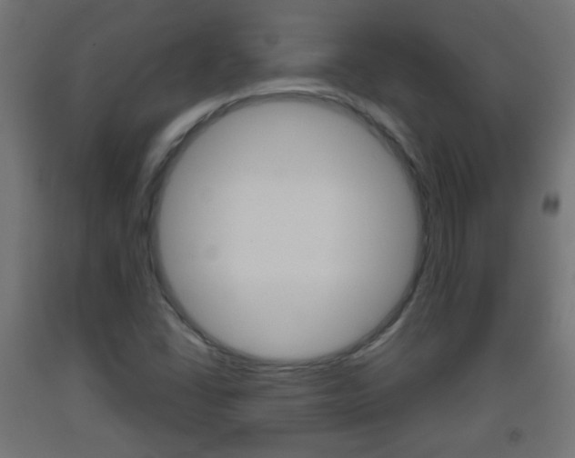 X0000093561406200710150947