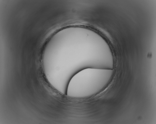 X0000093561407200710150947