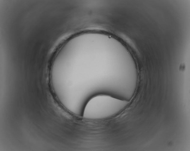 X0000093561408200710150947