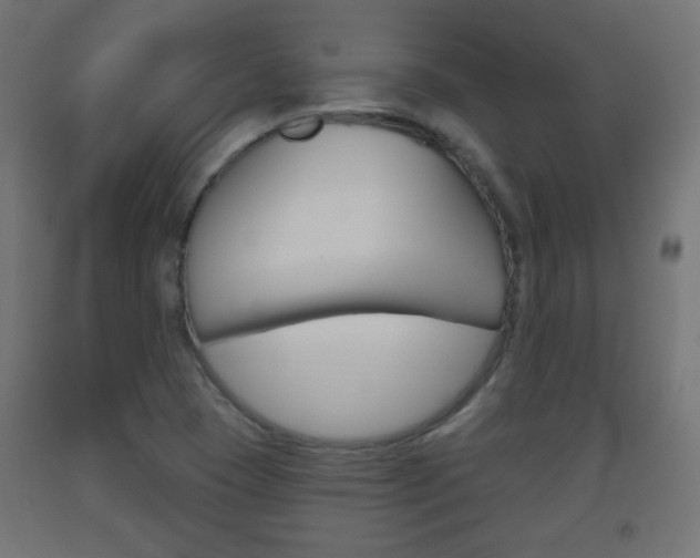 X0000093561409200710150947