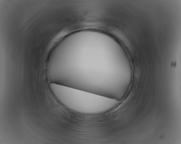 X0000093561411200710150947