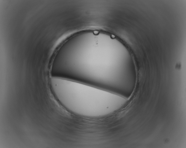 X0000093561412200710150947