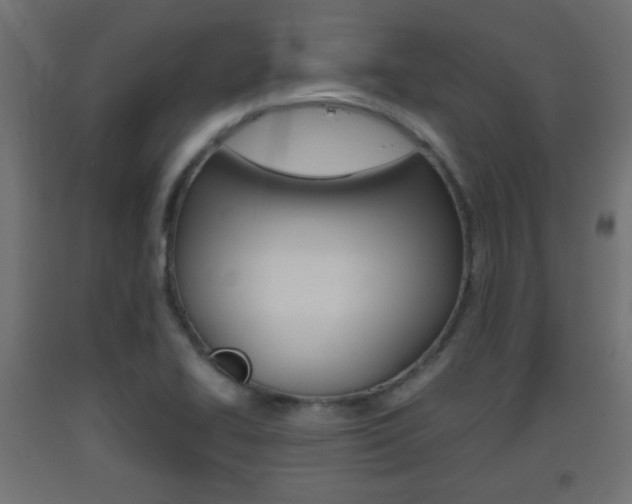 X0000093561414200710150947