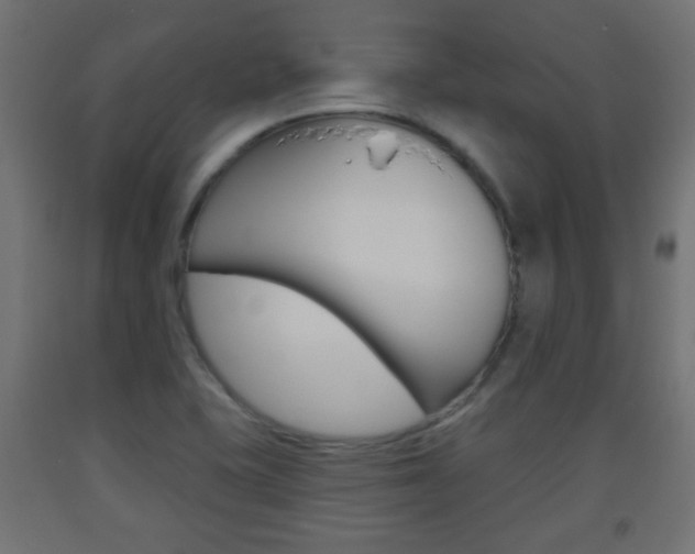 X0000093561415200710150947