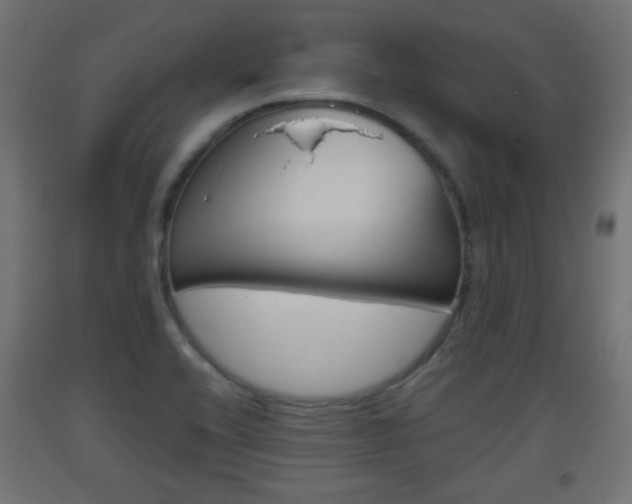 X0000093561416200710150947