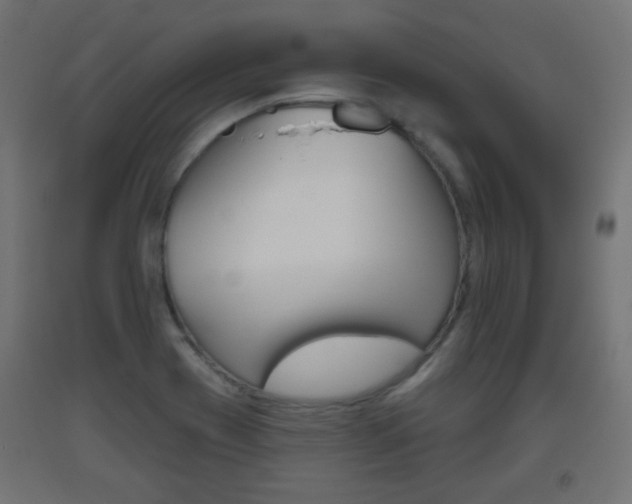 X0000093561417200710150947