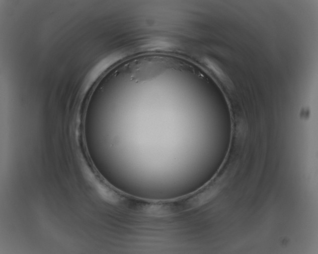 X0000093561418200710150947