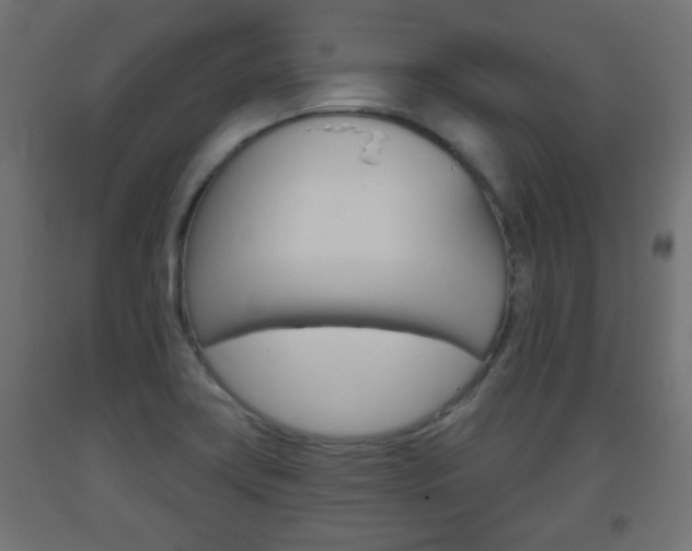 X0000093561419200710150947