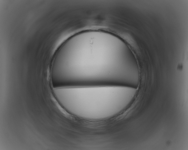 X0000093561420200710150947
