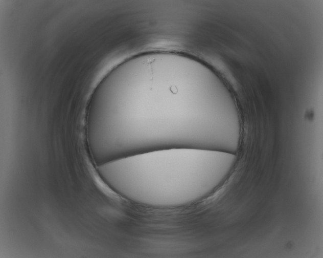 X0000093561421200710150947