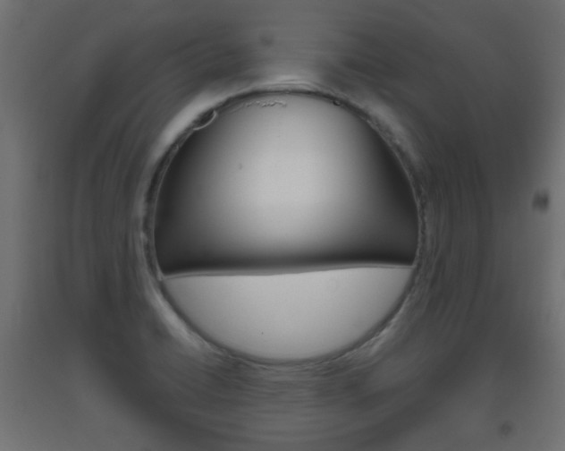 X0000093561422200710150947