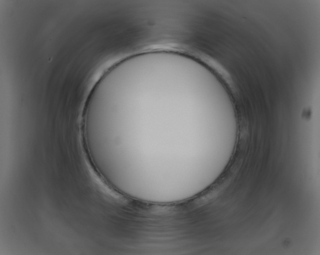 X0000093561423200710150947