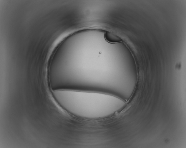 X0000093561424200710150947