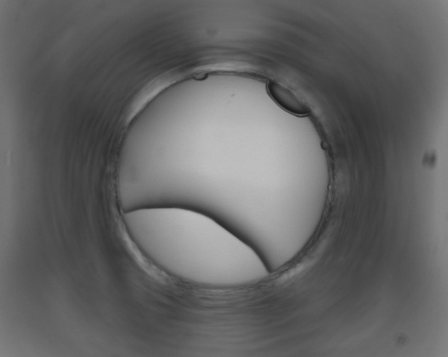 X0000093561425200710150947