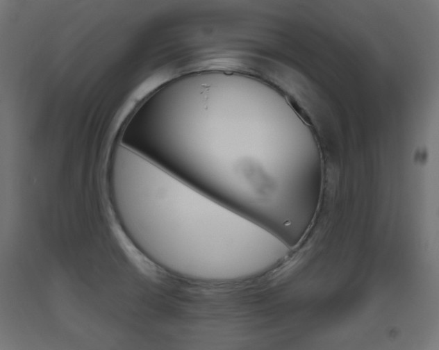 X0000093561426200710150947