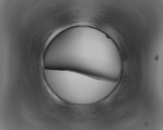 X0000093561428200710150947