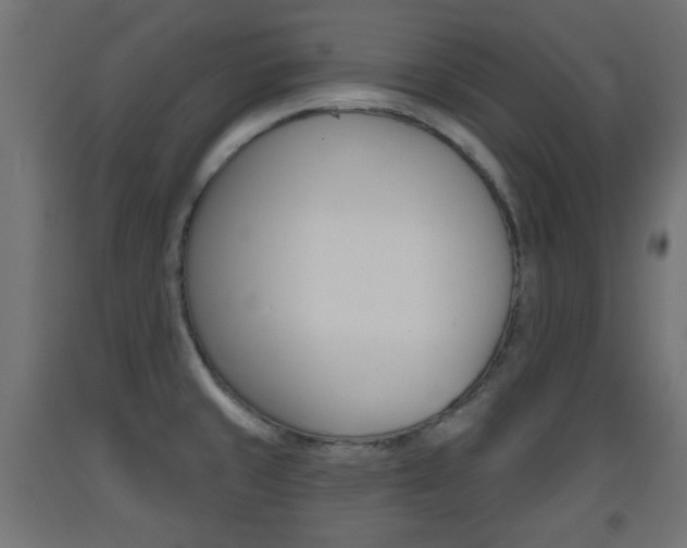 X0000093561429200710150947