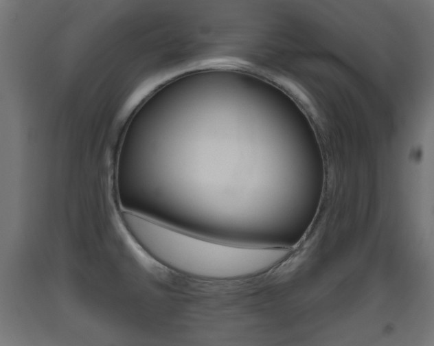 X0000093561430200710150947