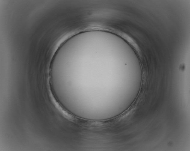 X0000093561431200710150947