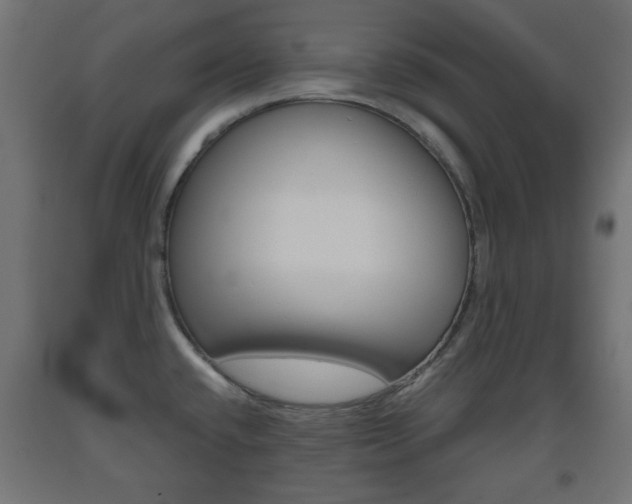 X0000093561432200710150947