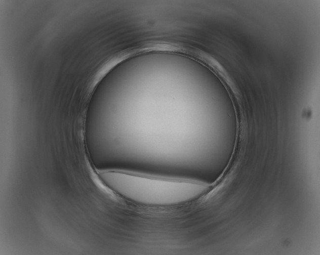 X0000093561433200710150947