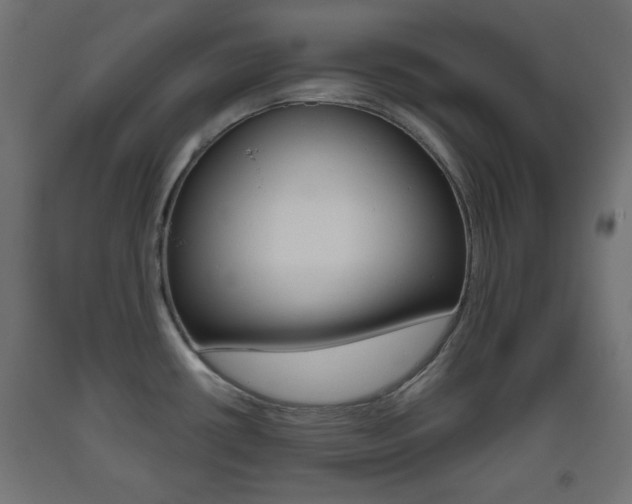 X0000093561434200710150947