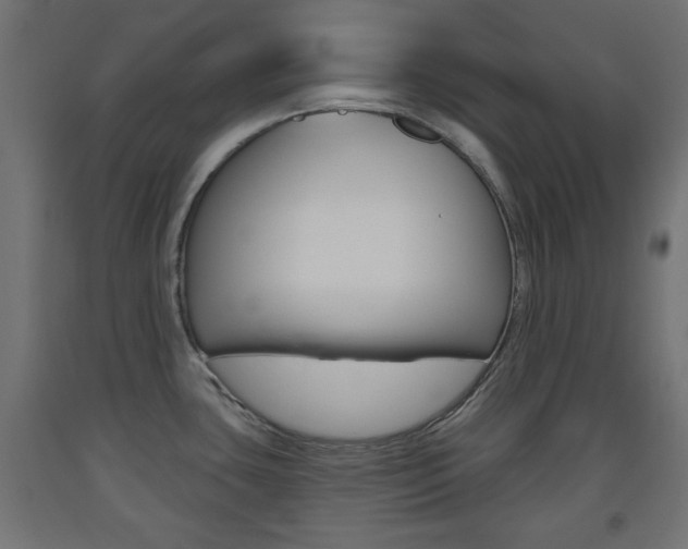 X0000093561435200710150947