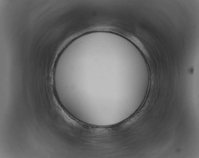 X0000093561436200710150947