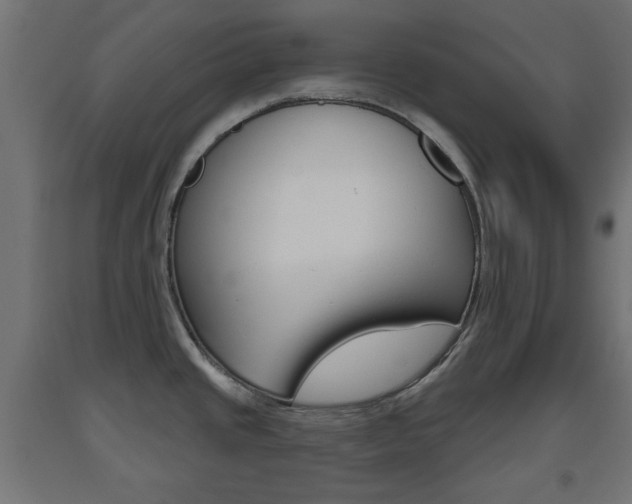 X0000093561437200710150947
