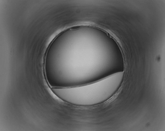 X0000093561438200710150948