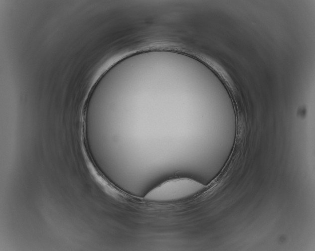 X0000093561439200710150948