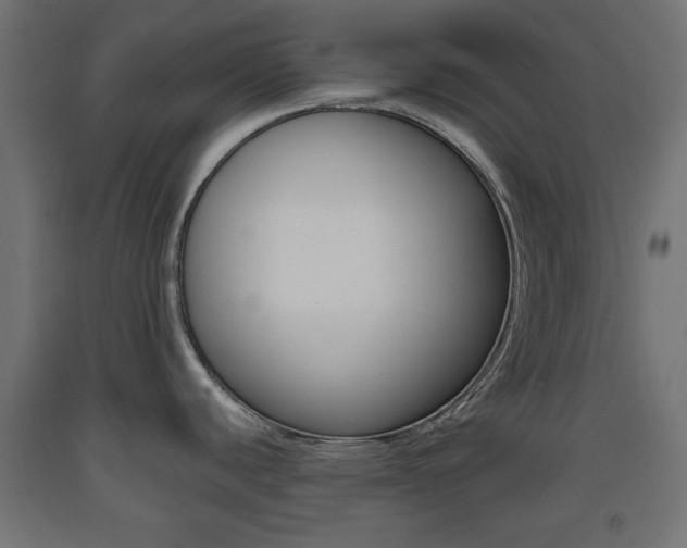 X0000093561440200710150948