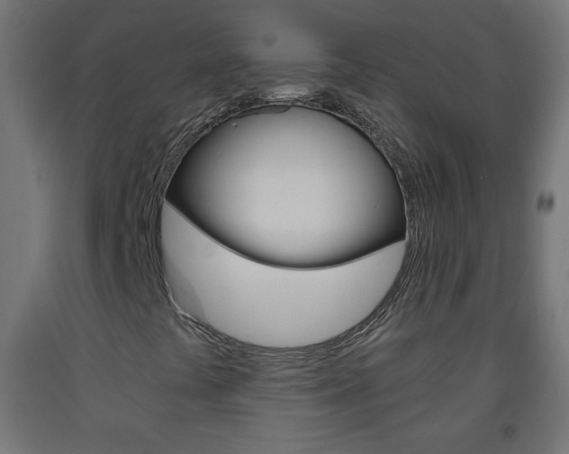X0000093561441200710150947