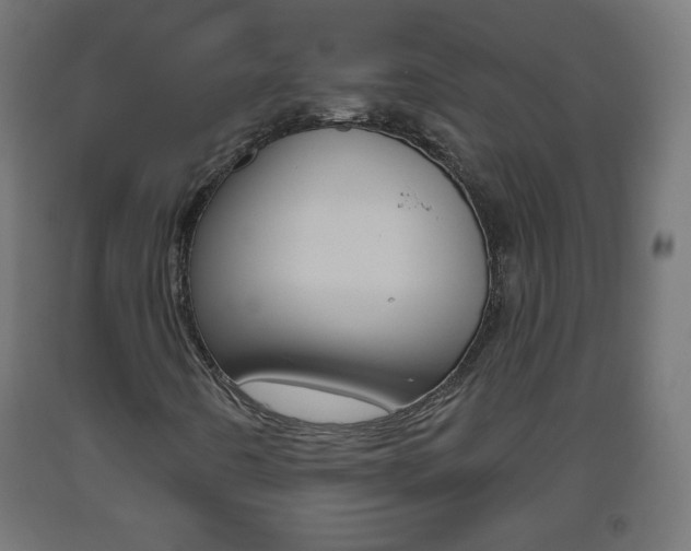 X0000093561442200710150947