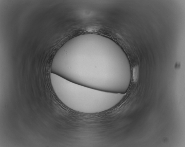 X0000093561443200710150947