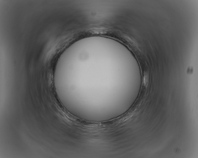 X0000093561444200710150947