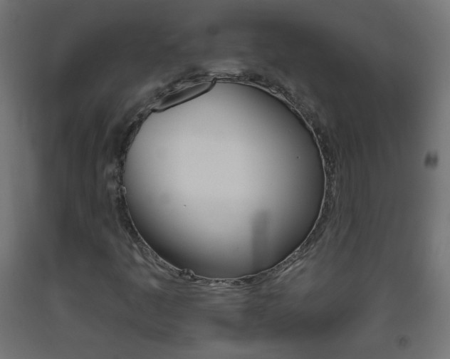 X0000093561445200710150947