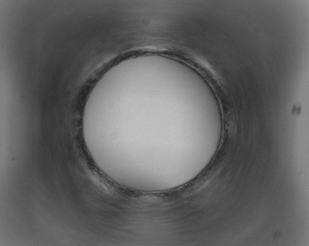 X0000093561448200710150947