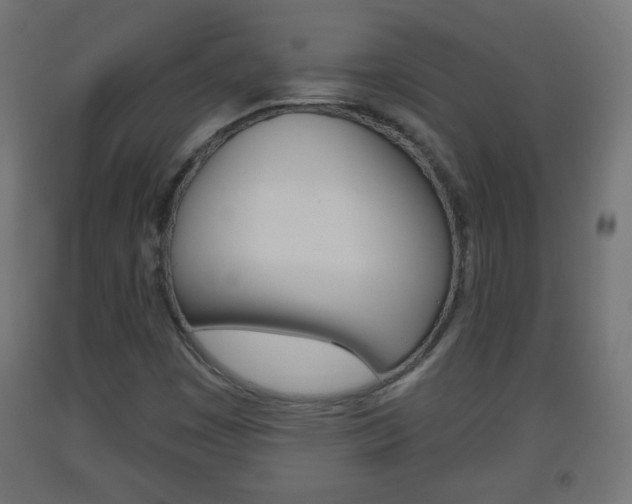 X0000093561449200710150947